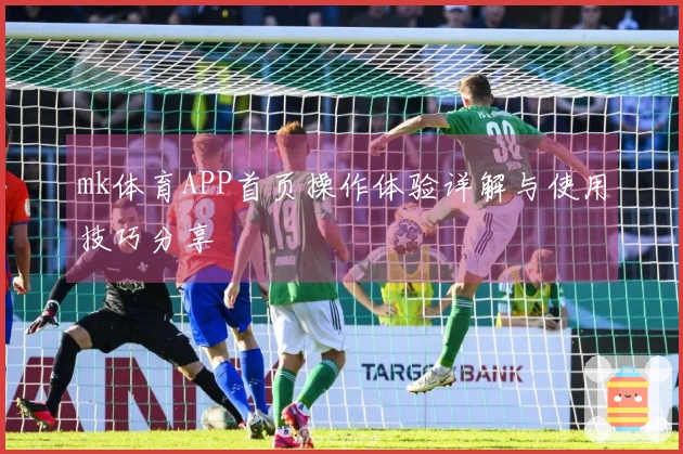 mk体育APP首页操作体验详解与使用技巧分享
