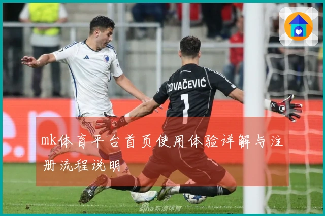 mk体育平台首页使用体验详解与注册流程说明