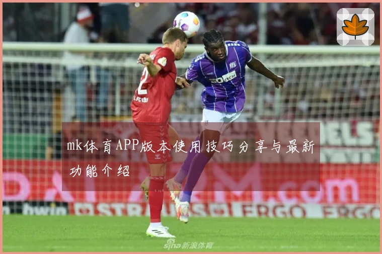 mk体育APP版本使用技巧分享与最新功能介绍
